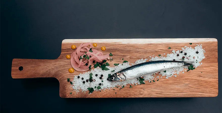 anchoa del cantábrico